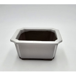 Poterie bonsai rectangulaire 11x8.5x5.5cm