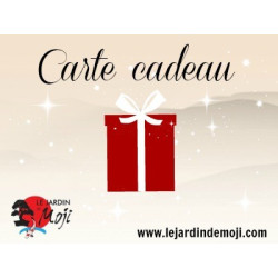 carte cadeau 1